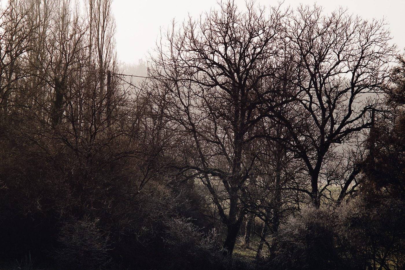 Arthur Nieuwenhuys Photography Corrèze France