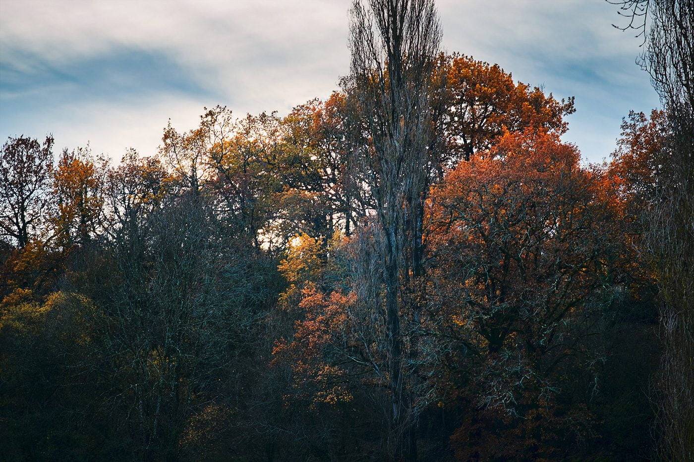 Arthur Nieuwenhuys Photography Corrèze France