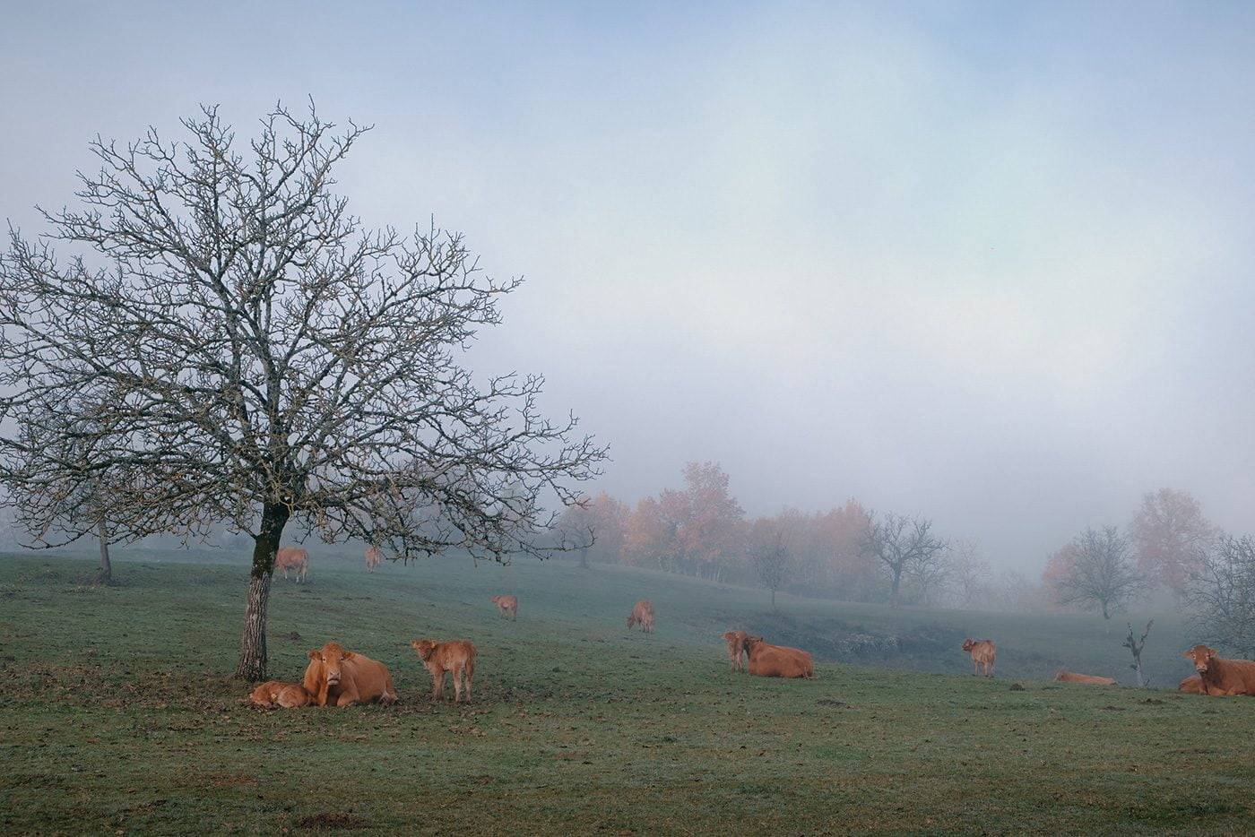 Arthur Nieuwenhuys Photography Corrèze France