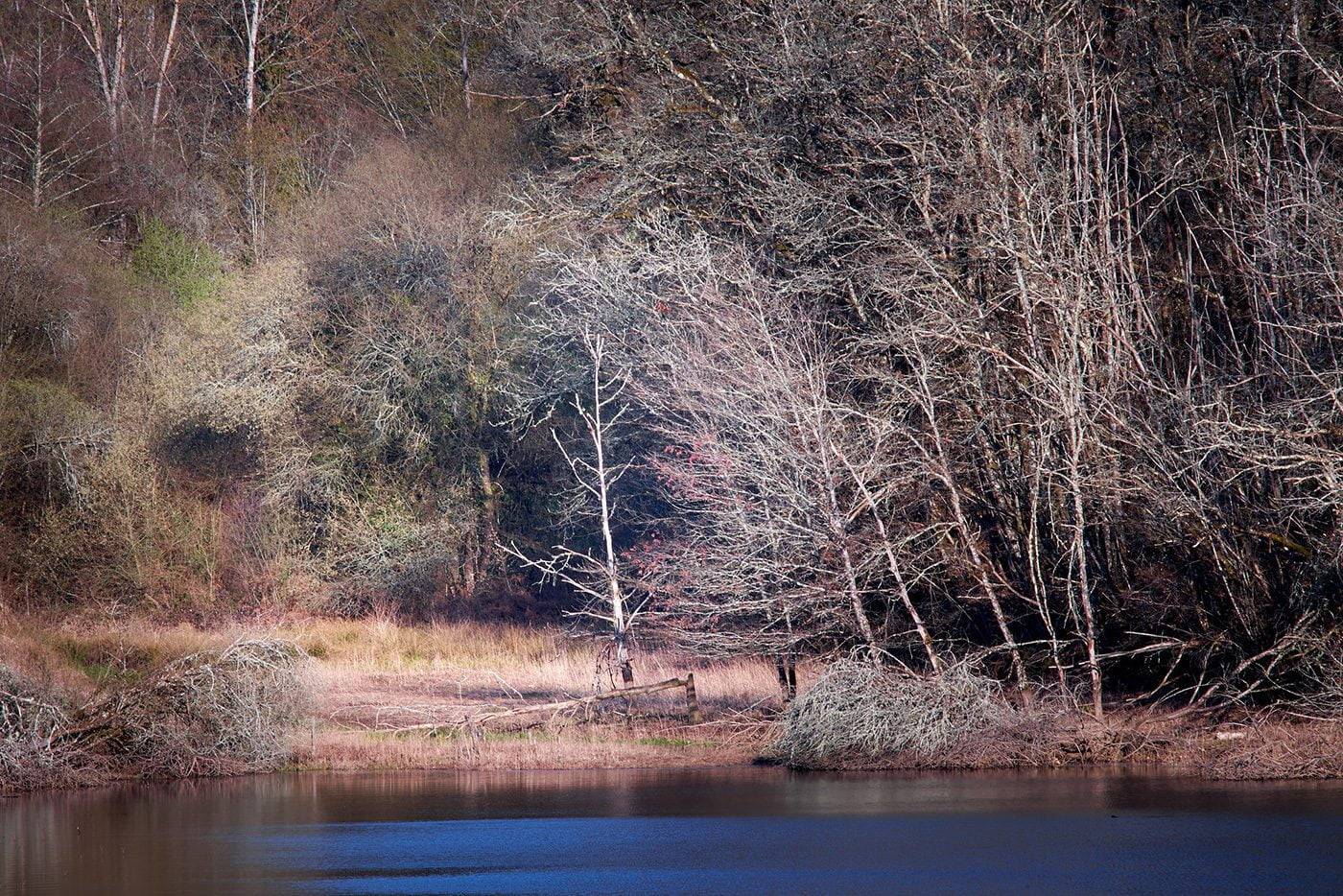 Arthur Nieuwenhuys Photography Corrèze France