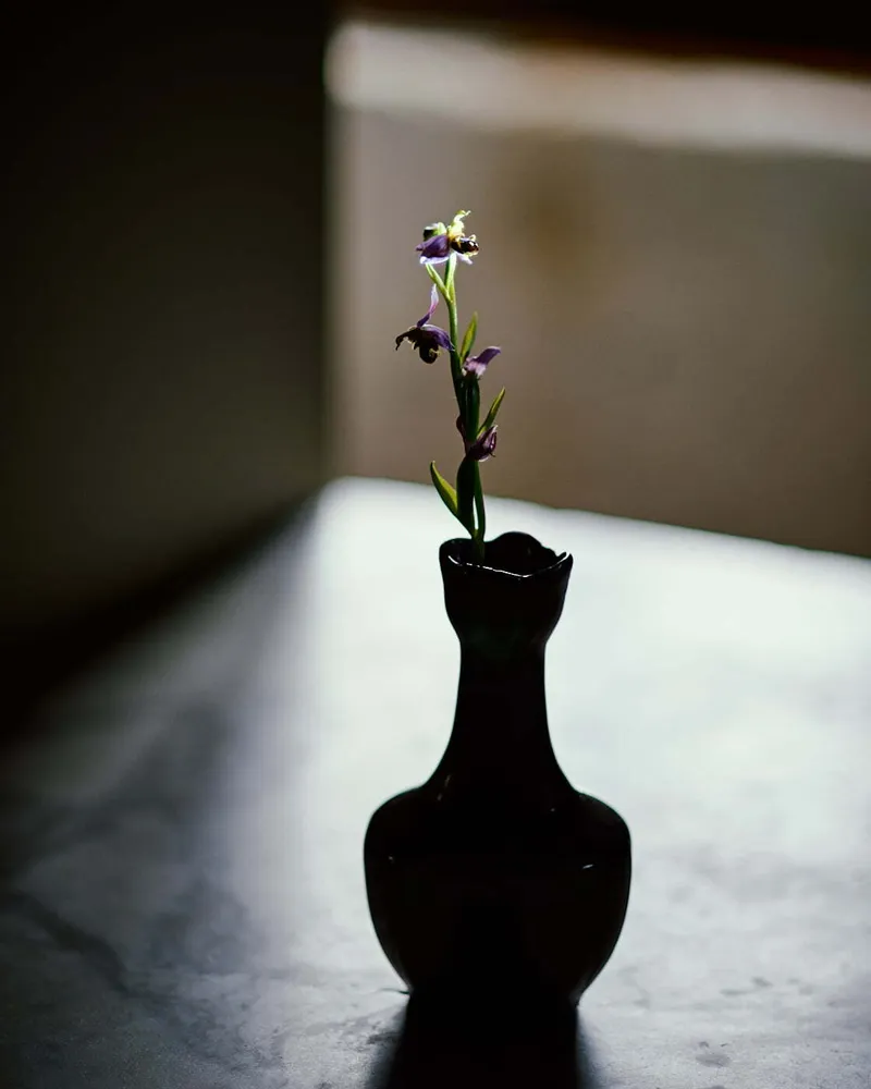 All The Flowers Are For You