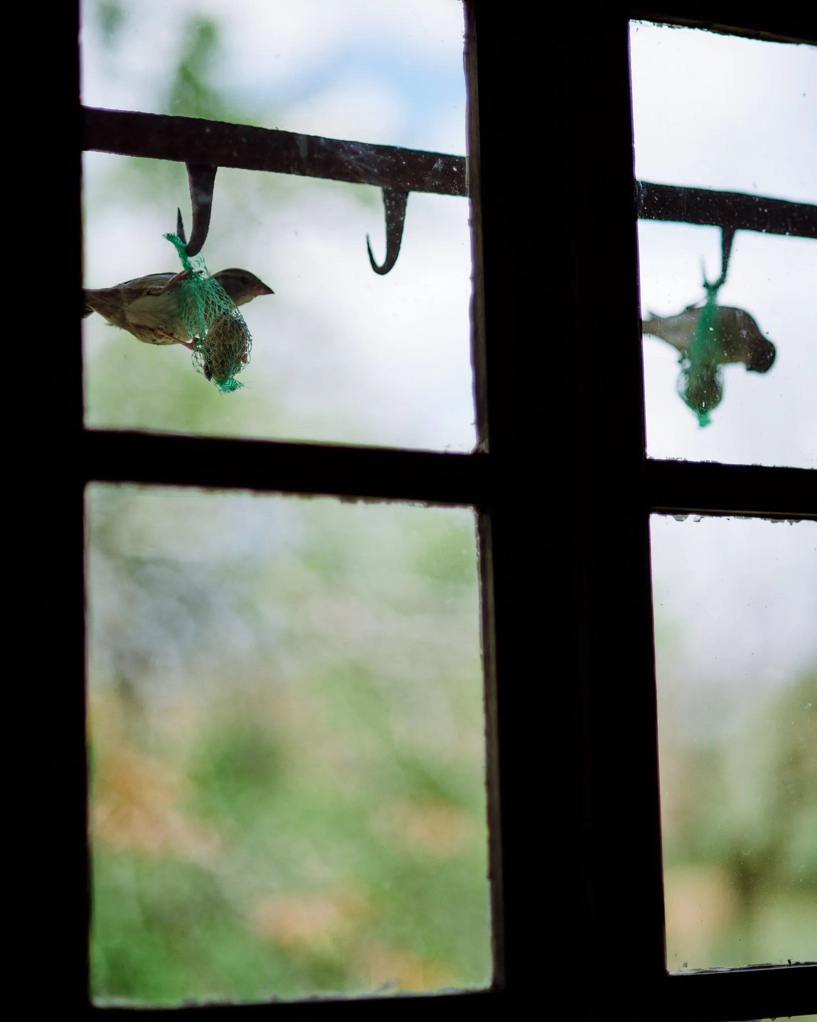 Industrial food 2021