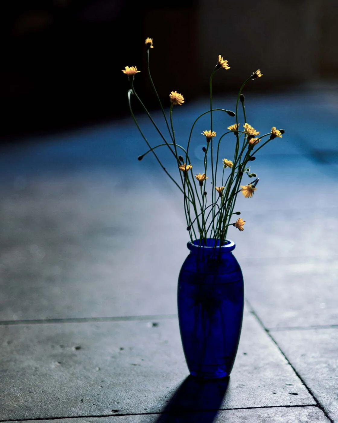 Smooth Hawks beard 02