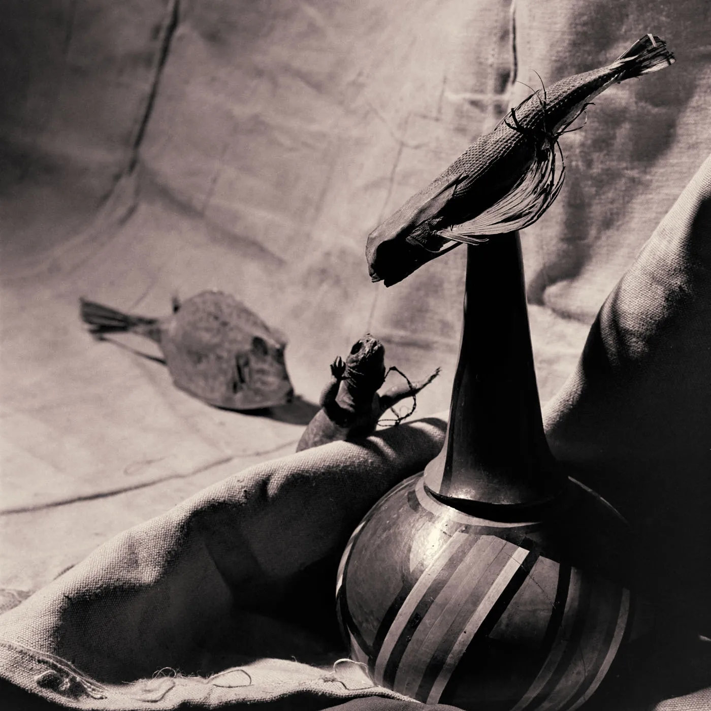 Still with fish 1987