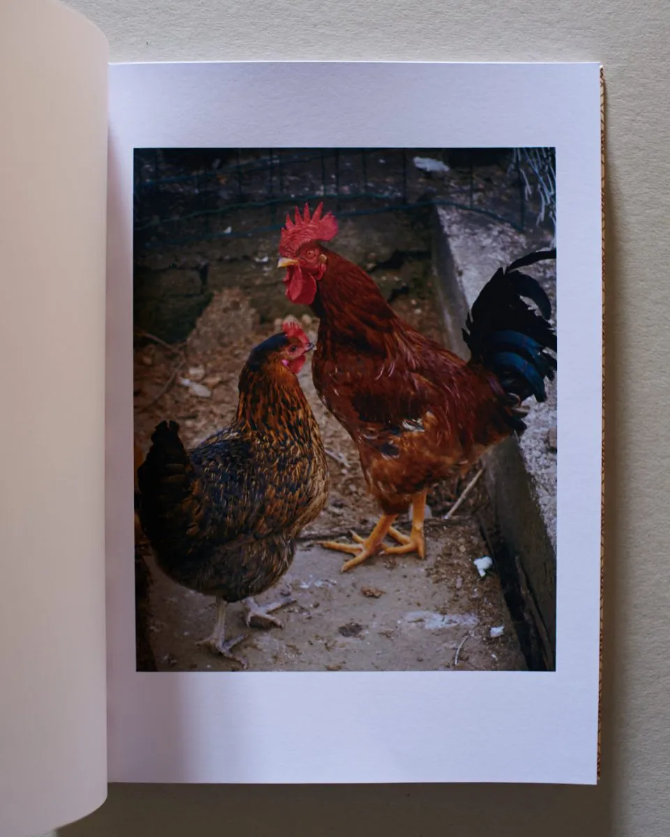 Der Song von Nein und Ja 4