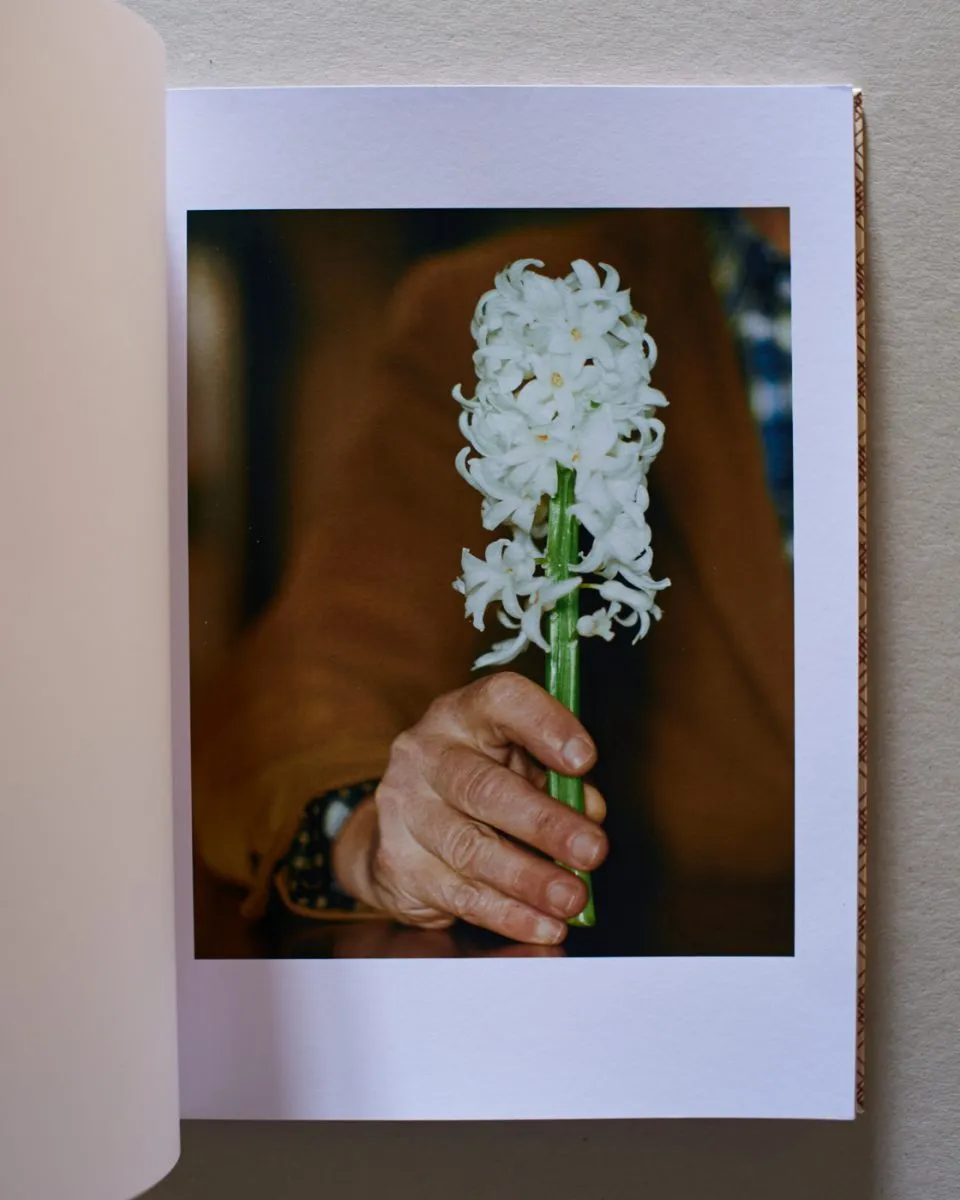 Der Song von Nein und Ja 8