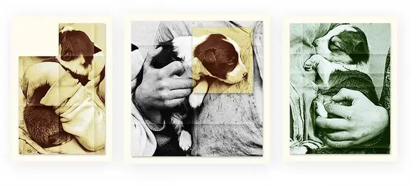 The Headless Works 2013 2015