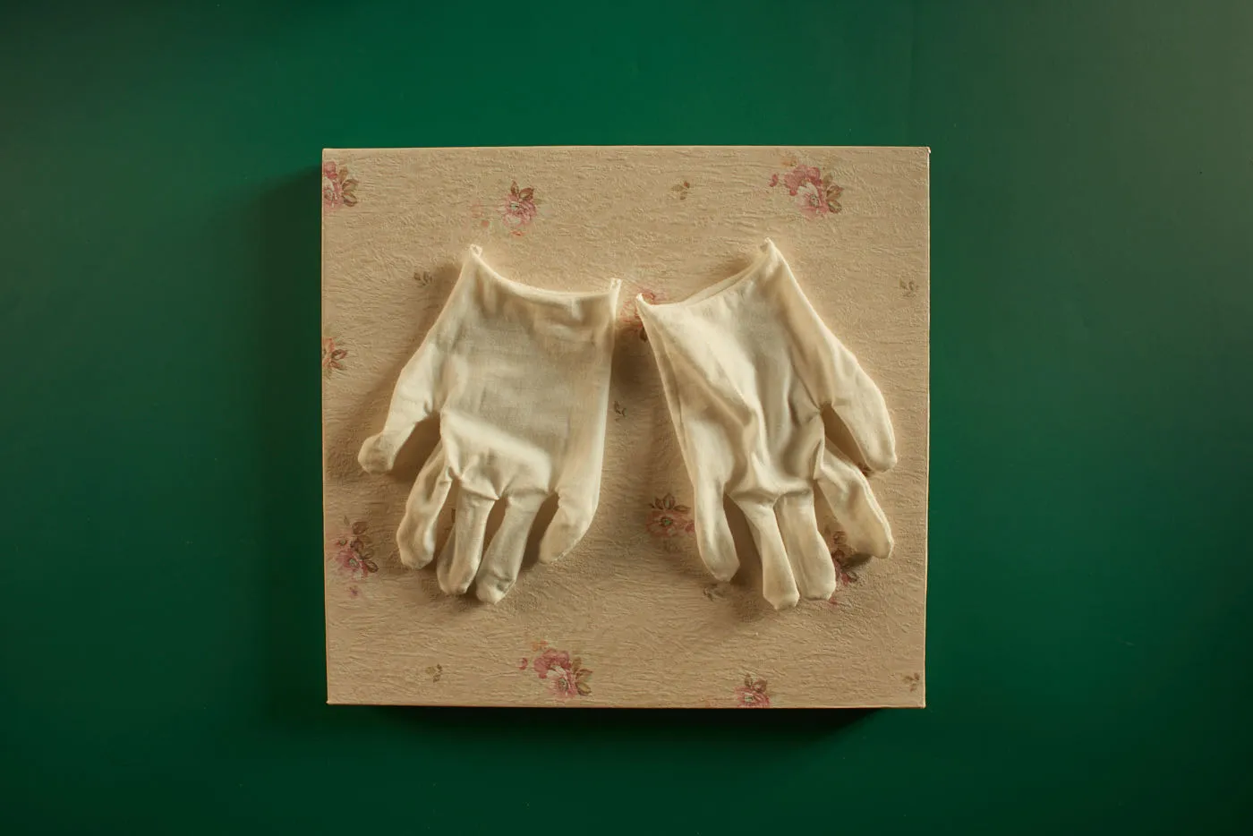 The World's Most Beautiful Picture of a Cow 1