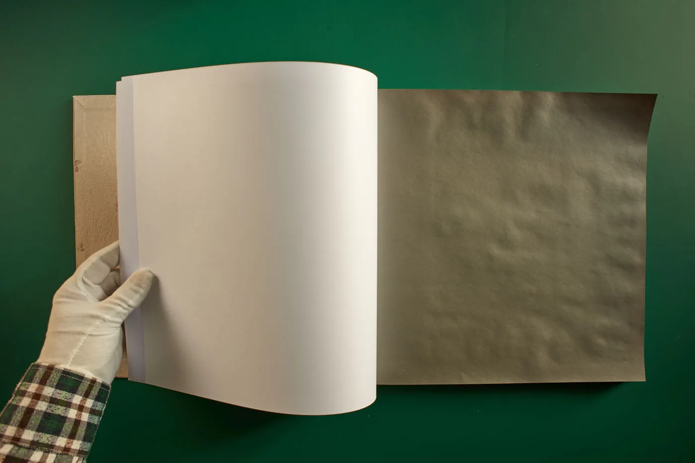 The World's Most Beautiful Picture of a Cow 6