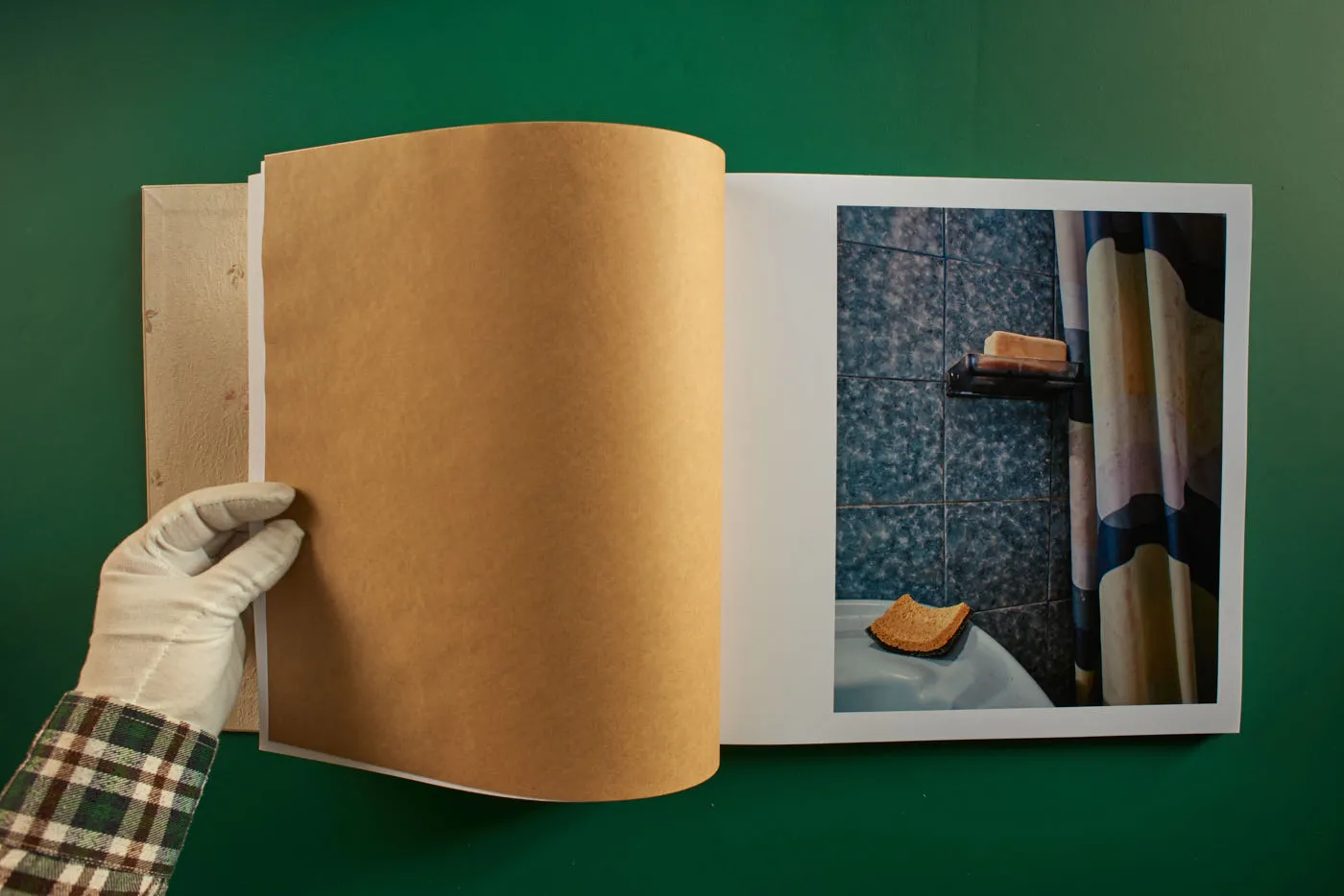 The World's Most Beautiful Picture of a Cow 7