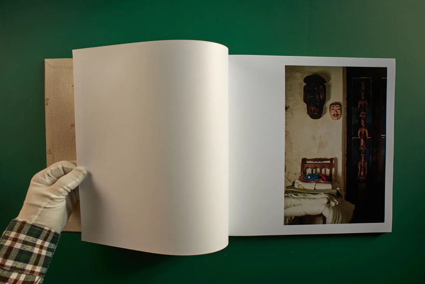 The World's Most Beautiful Picture of a Cow 8