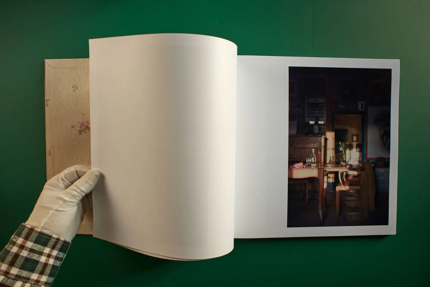 The World's Most Beautiful Picture of a Cow 10