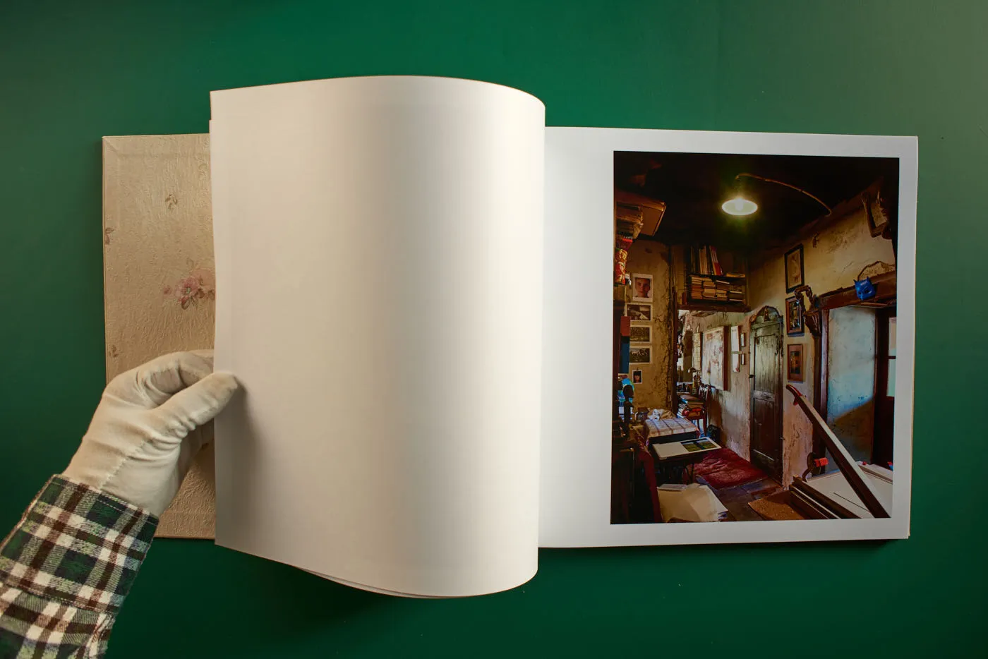 The World's Most Beautiful Picture of a Cow 11