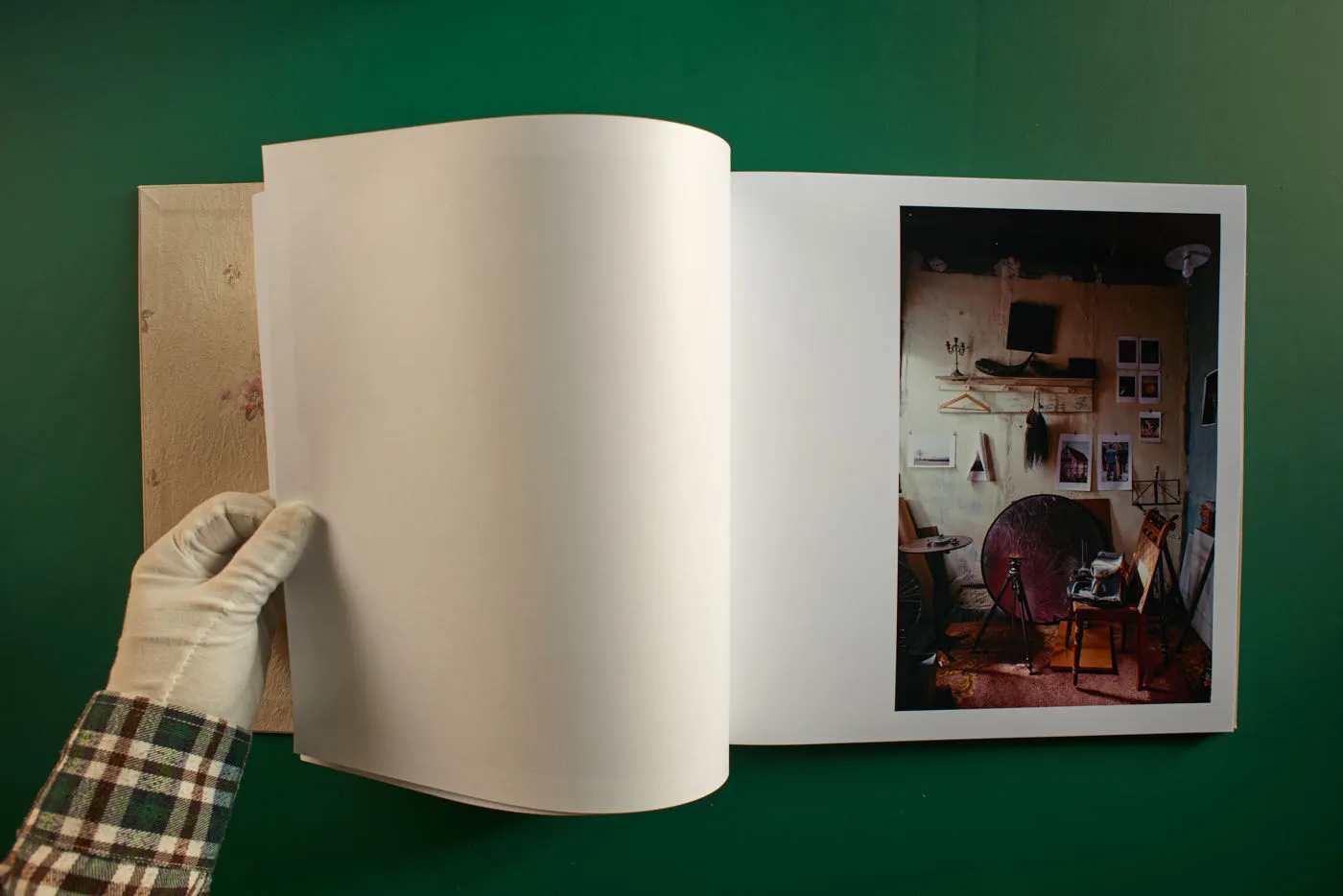 The World's Most Beautiful Picture of a Cow 12