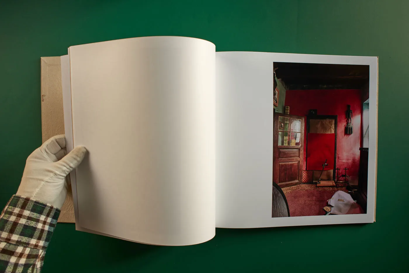 The World's Most Beautiful Picture of a Cow 13