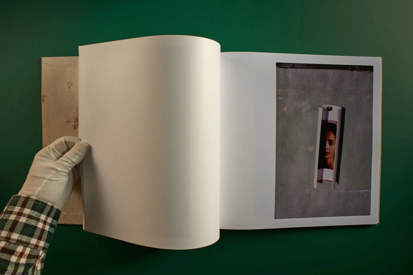 The World's Most Beautiful Picture of a Cow 14