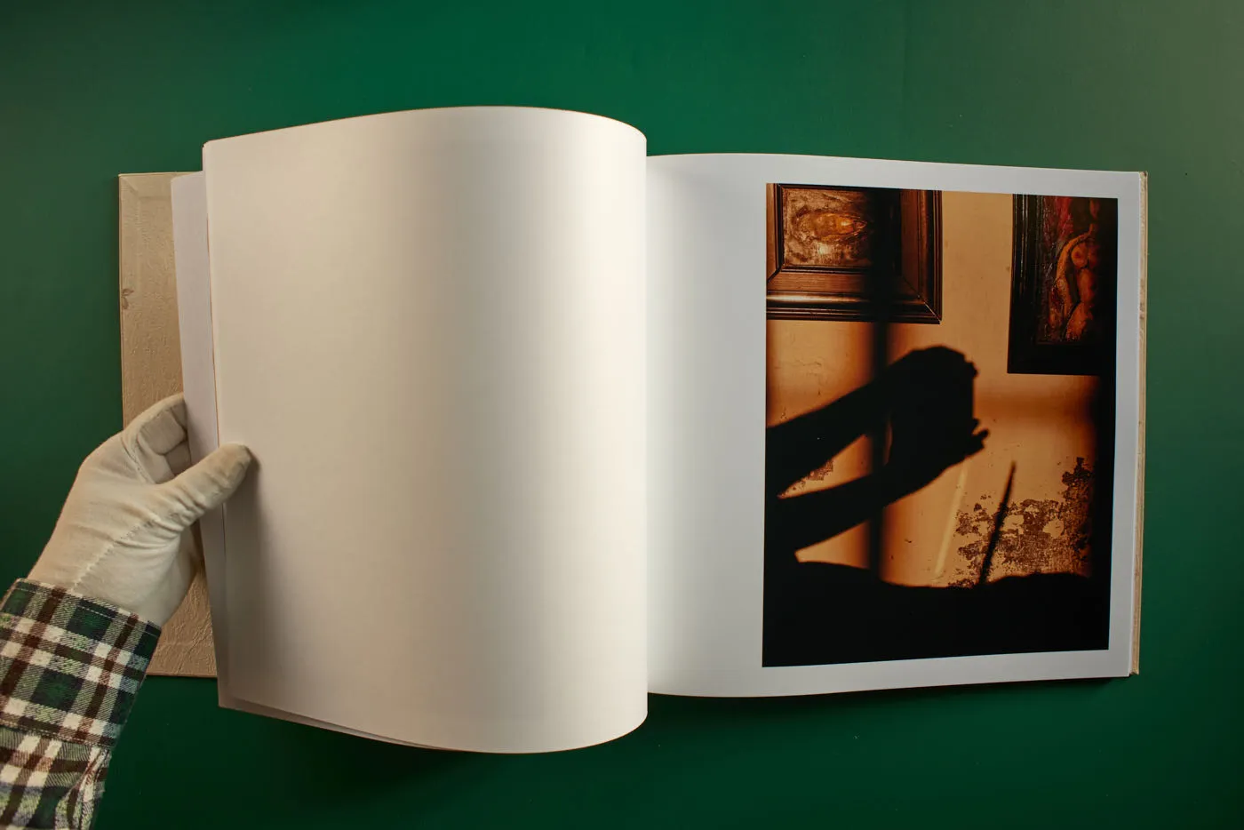 The World's Most Beautiful Picture of a Cow 15