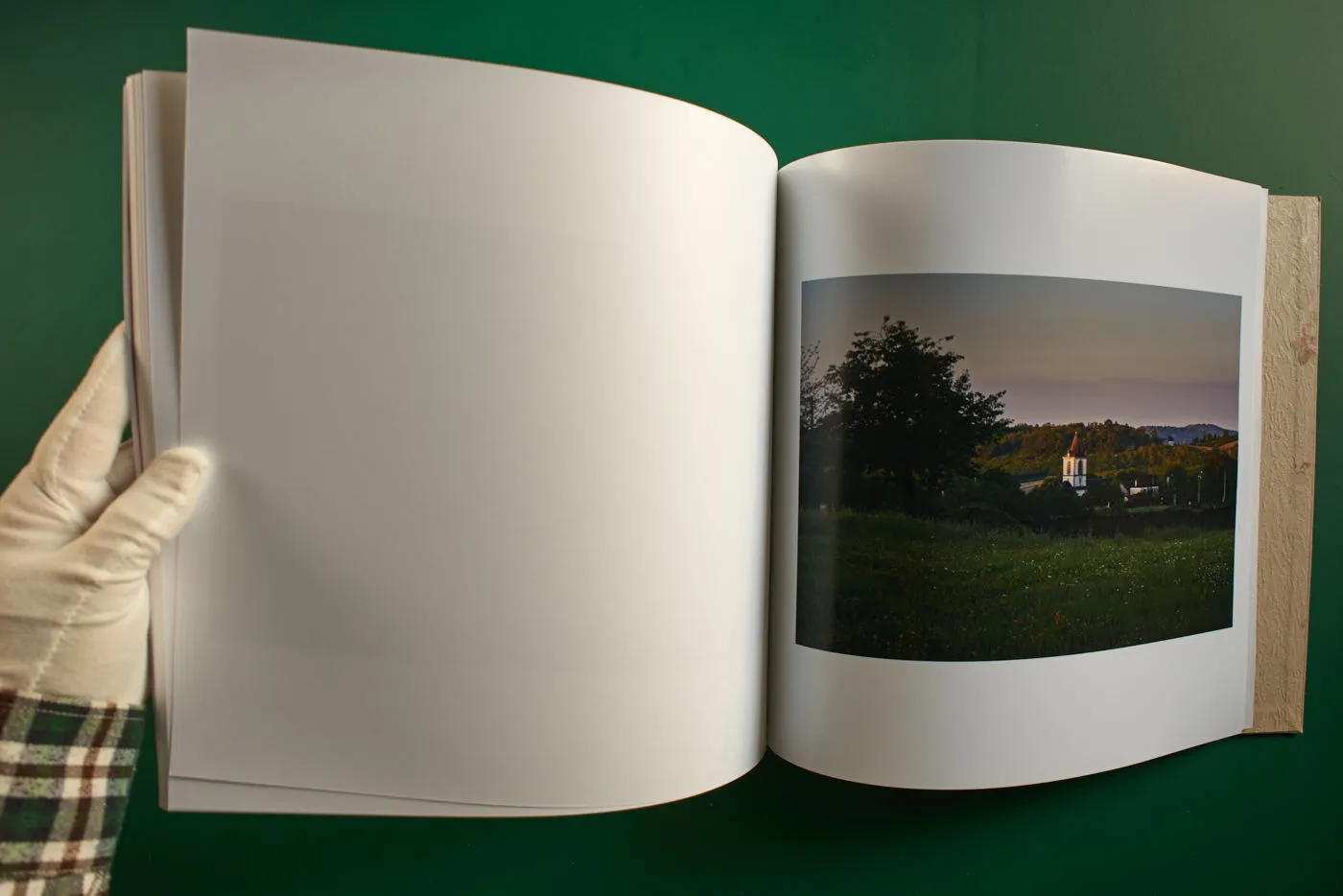 The World's Most Beautiful Picture of a Cow 24