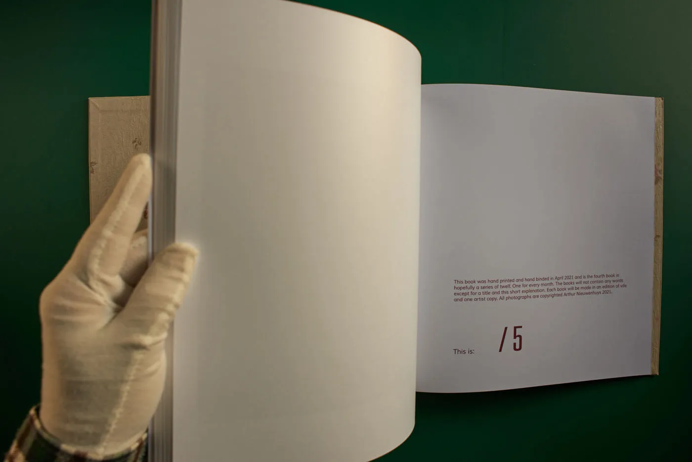 The World's Most Beautiful Picture of a Cow 29