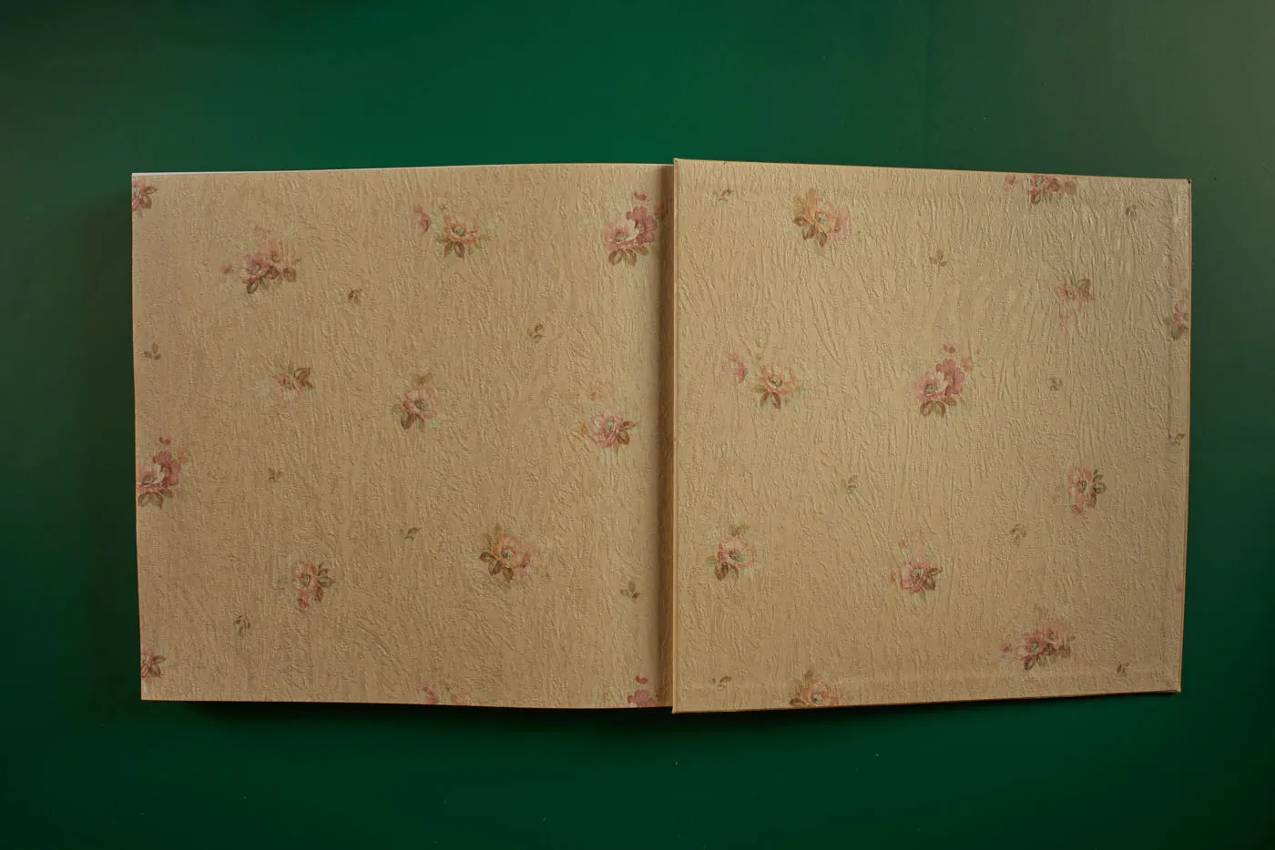 The World's Most Beautiful Picture of a Cow 31